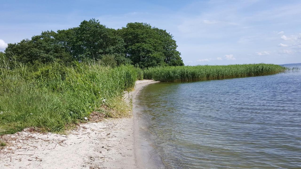 Ferienhaus "Biberburg Am Haff" Garz  Eksteriør billede